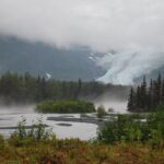 A foggy day with trees and water in the foreground.