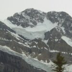 A mountain with snow on it and a tree in the foreground.