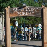 A sign post forest with many signs on it