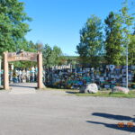 A group of people standing around in front of trees.