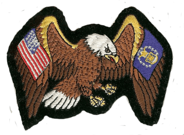 A large eagle with two flags on it's wings.